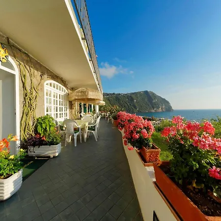 Casa Del Sole Apartment Forio (Isola d'Ischia)